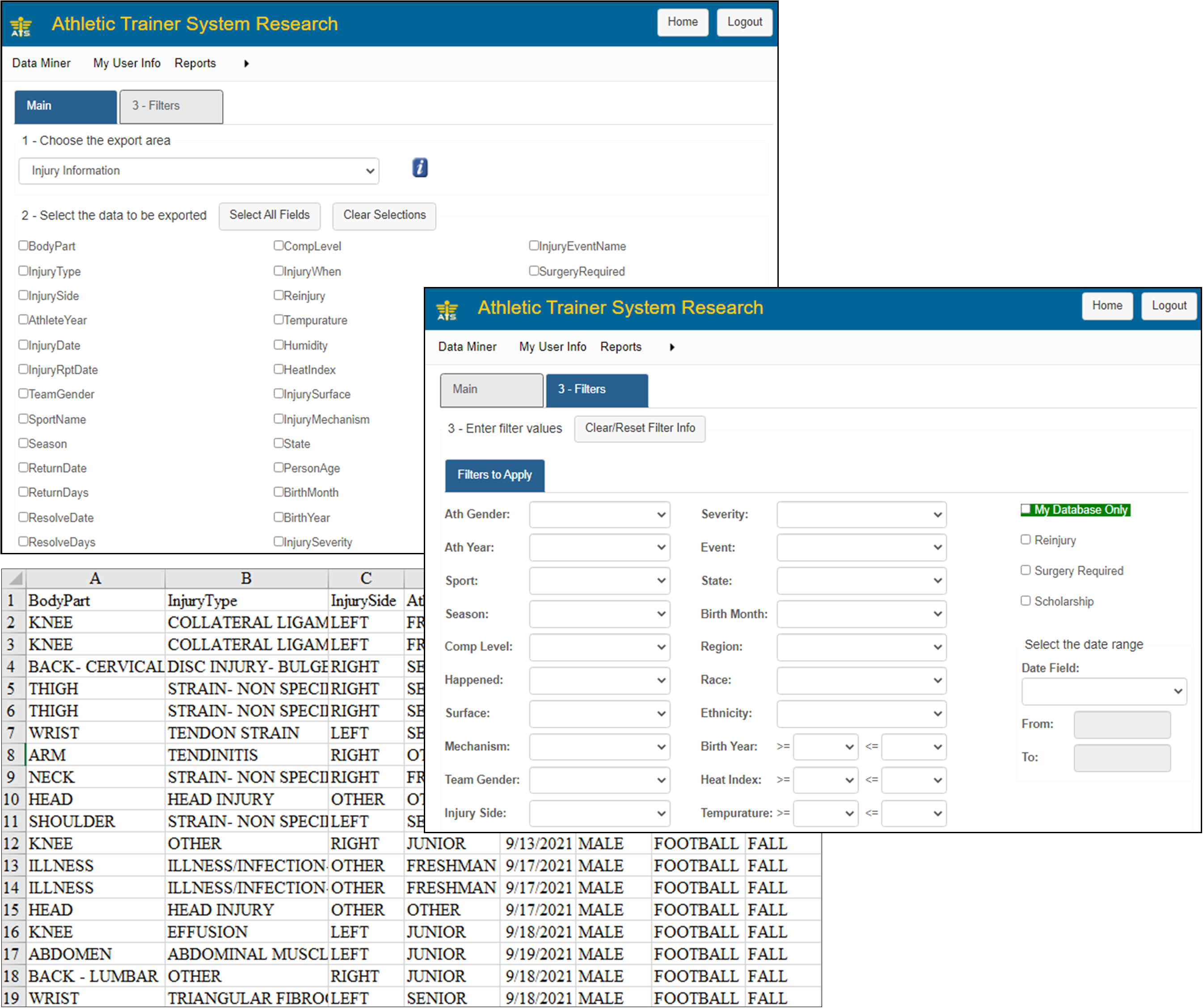 Data Miner